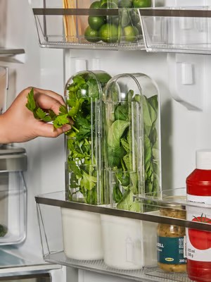 20% auf KLIPPKAKTUS Kühlschrank- Organizer