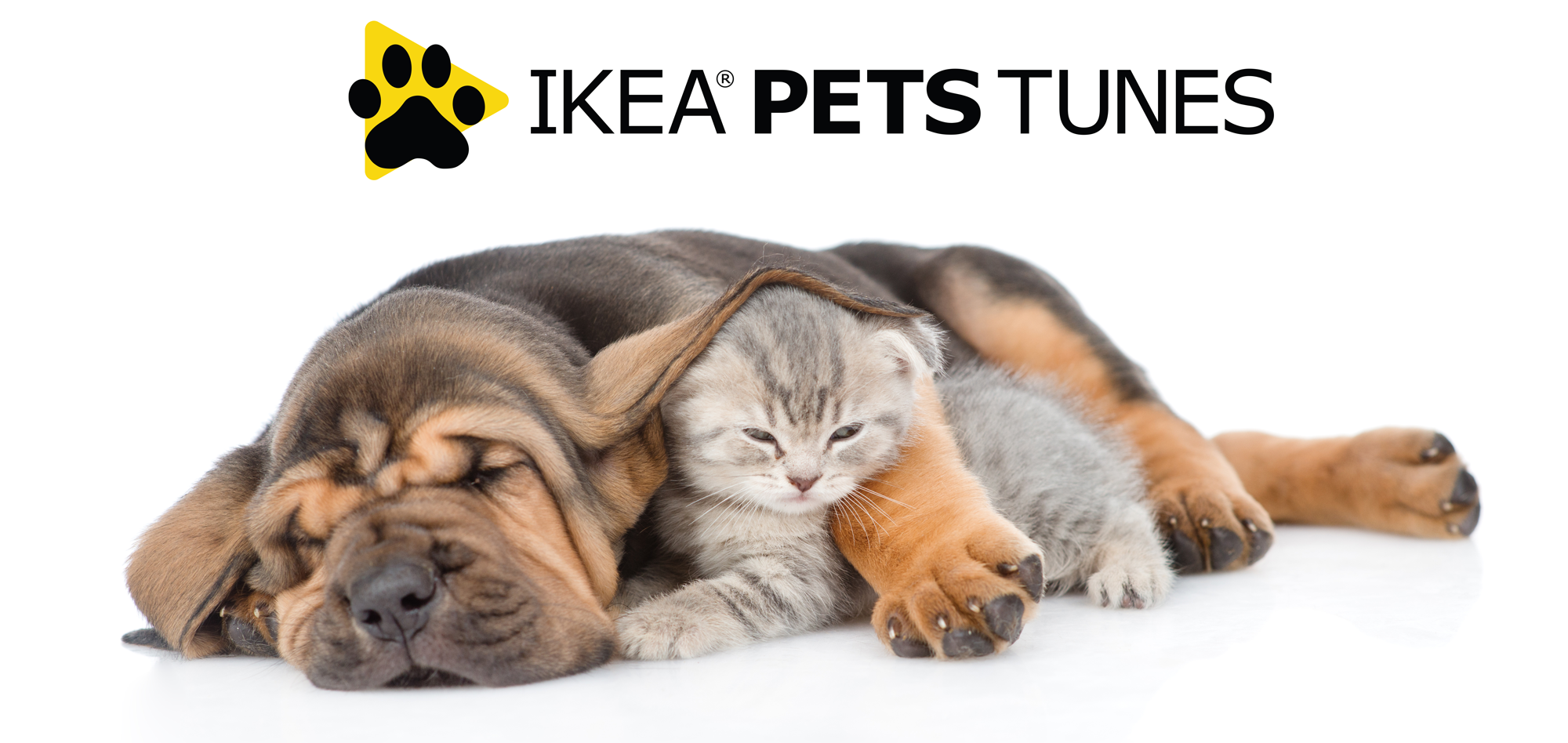 La Ferme De Harzé Alimentation Et Accessoires Pour Animaux