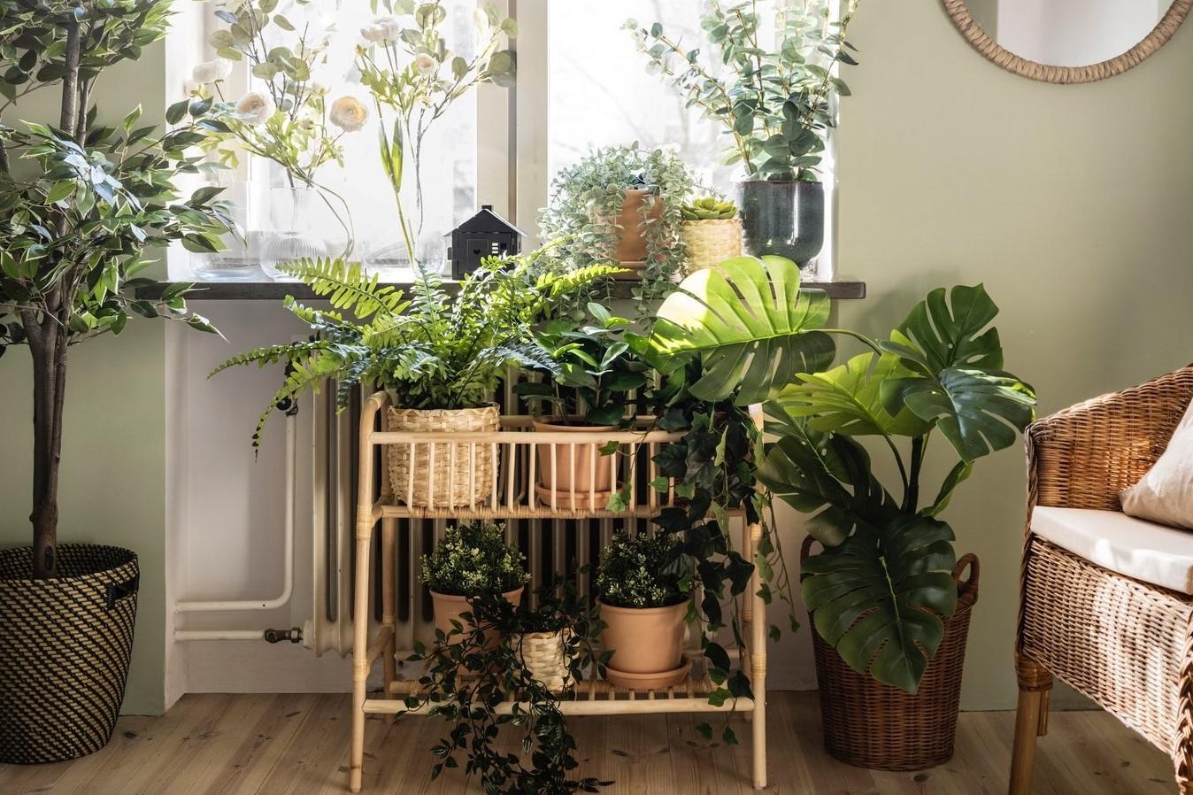 Interior decorating tips using indoor plant decor IKEA