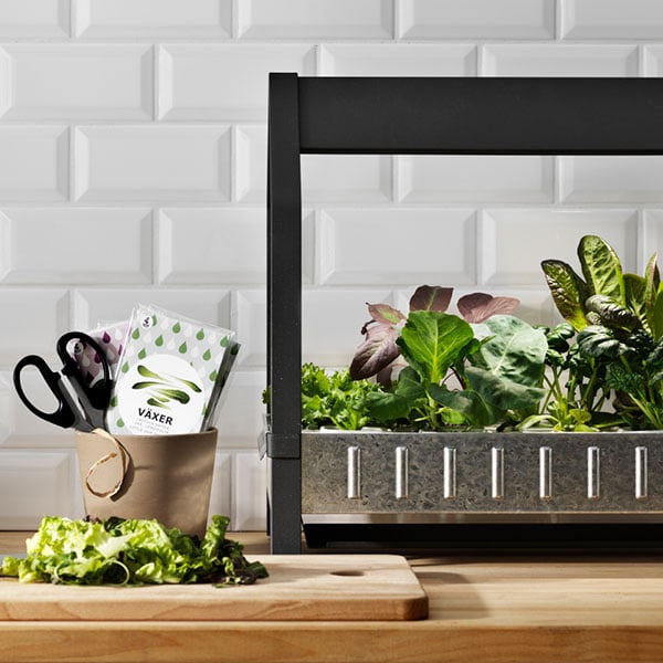 Herzlich willkommen in deinem neuen Indoor-Garten - IKEA Schweiz