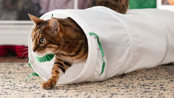 Pet Accessories Furniture Ikea