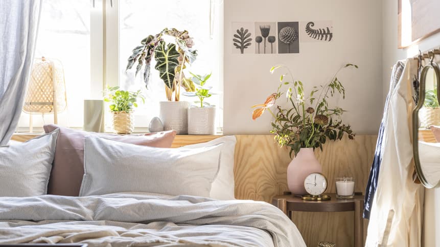 Toutes les plantes vertes