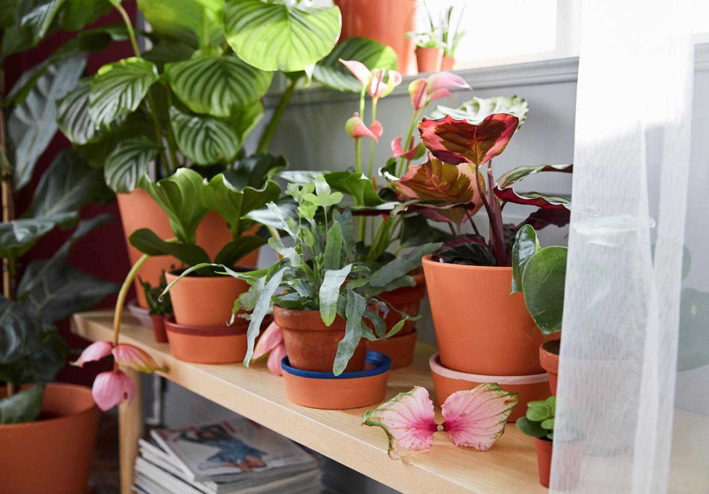 Seven IKEA solutions perfect for small spaces - IKEA Spain