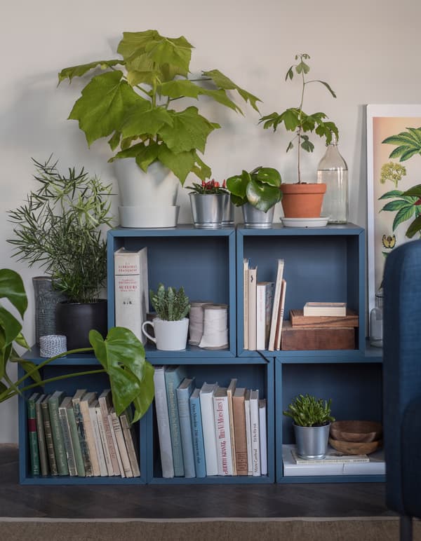 5 meubles de rangement bleus empilés posés par terre dans un salon, avec livres et plantes à l’intérieur et plantes au-dessus.