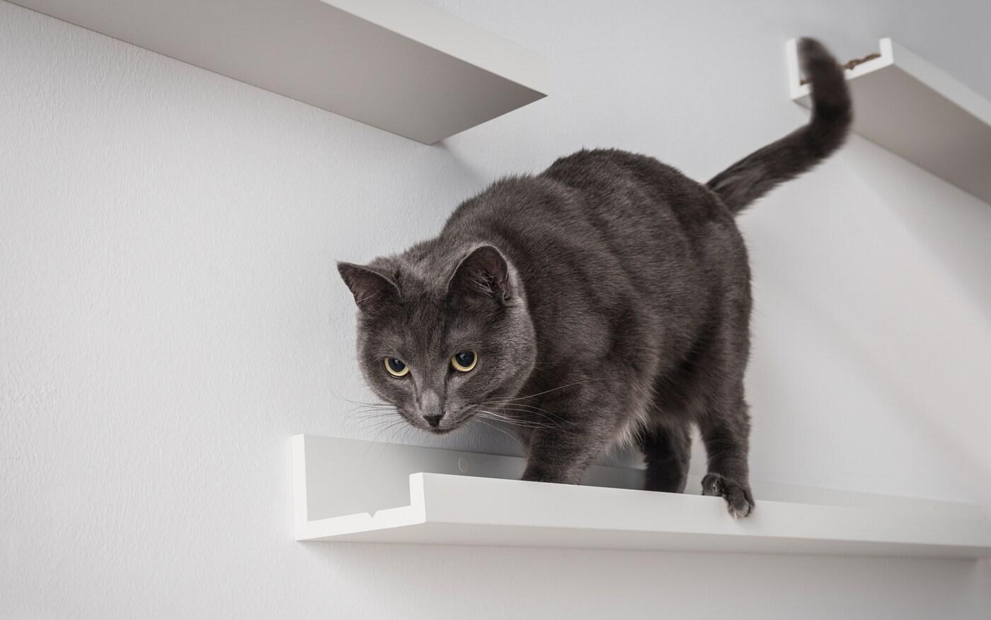 5 unexpected uses for MOSSLANDA picture ledges.