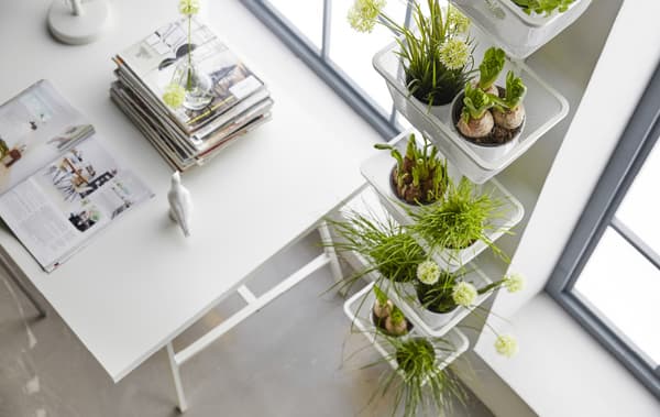 5 ways to Find indoor garden spaces