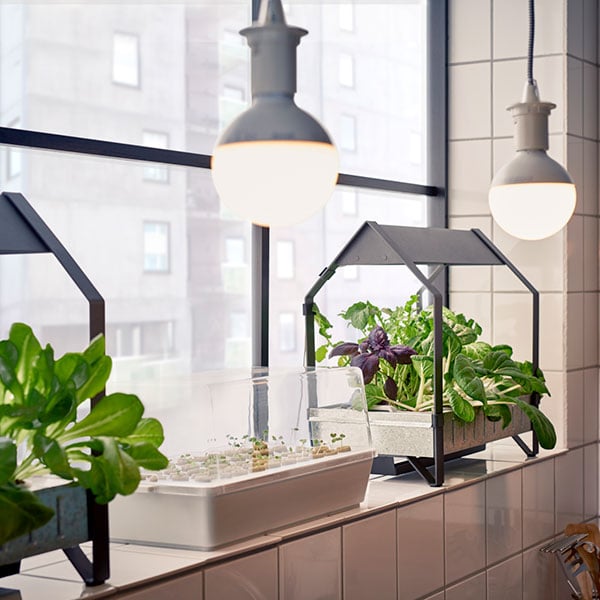 Herzlich willkommen in deinem neuen Indoor-Garten - IKEA Schweiz