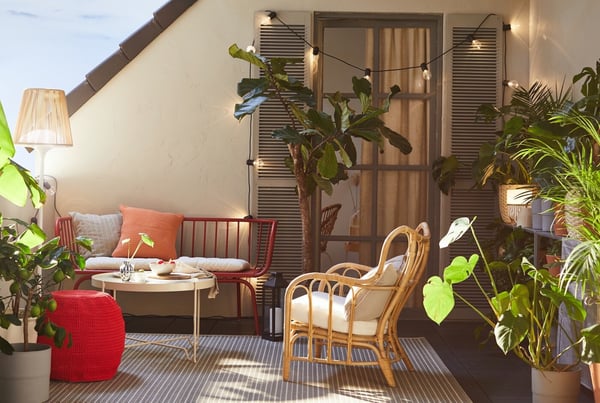 Ikea Cassaeie Online