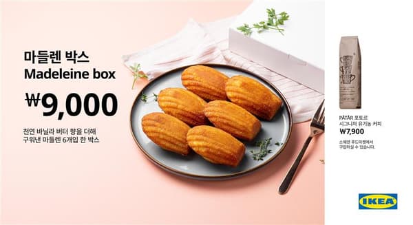 마들렌 6개가 박스에 담겨있는 사진