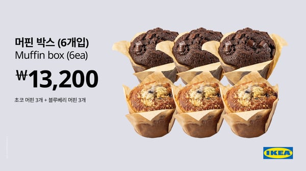 머핀박스 6개입