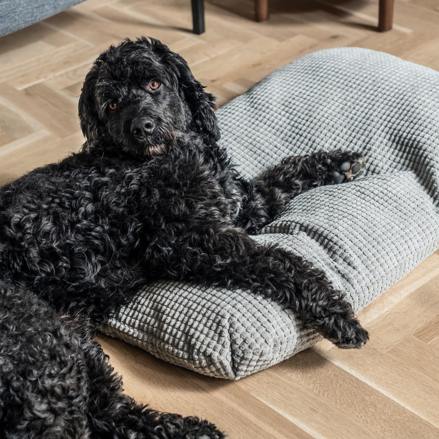 LURVIG for cats and dogs IKEA