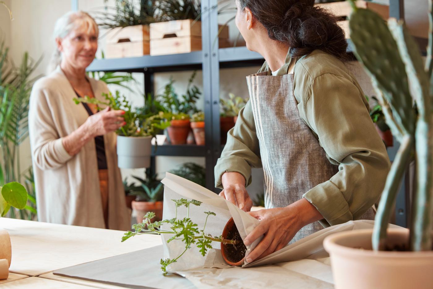 Descubre los comercios que participan