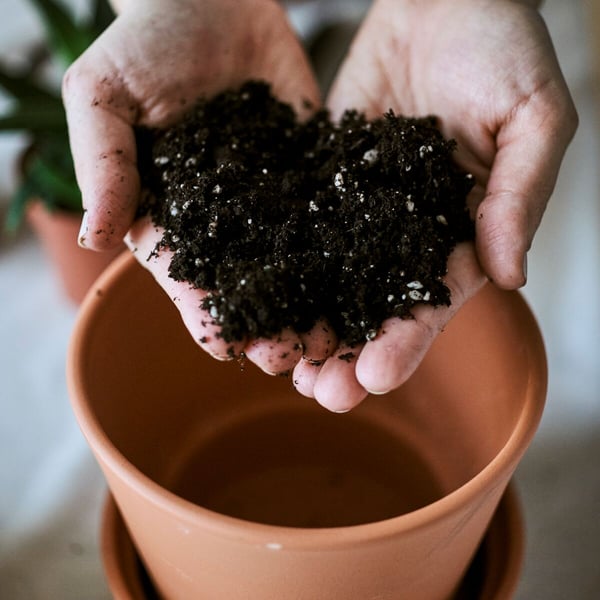 Aktuella Ikea Family Erbjudanden Ikea