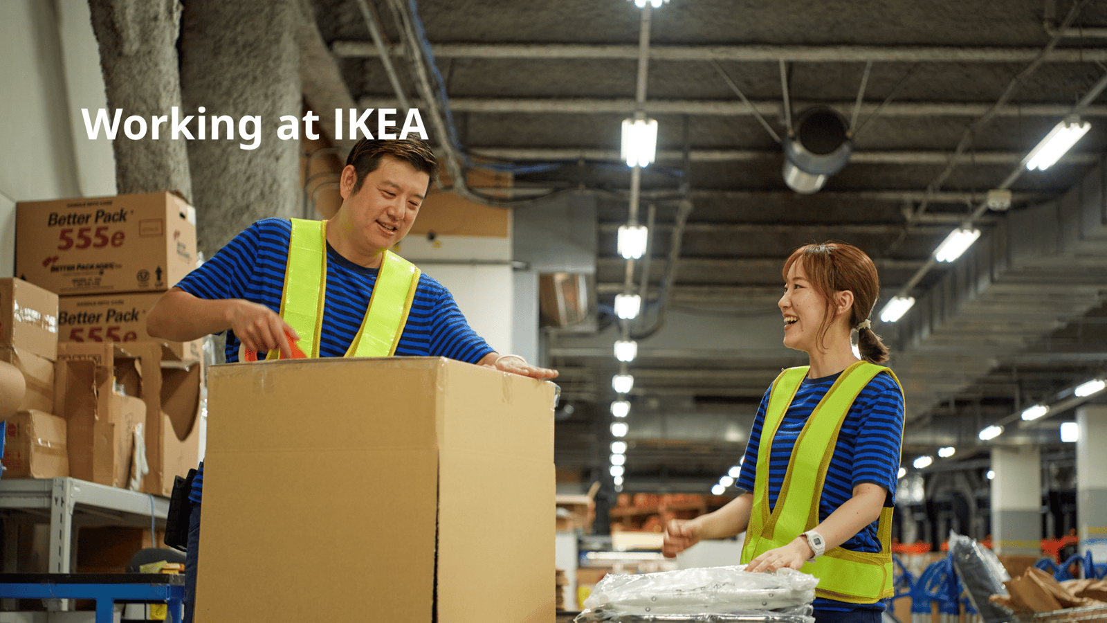 IKEA Japan Furniture and Home Goods IKEA