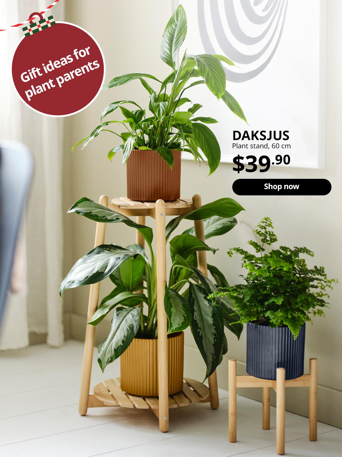 A bamboo DAKSJUS plant stand
