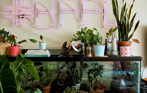 A bedroom with a plant display in a fish tank and pink neon sign on the wall above.