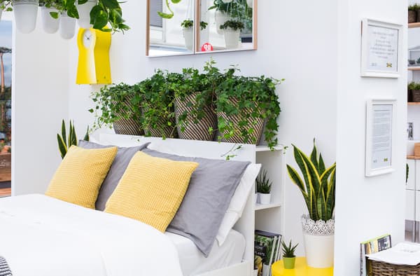 A bedroom with live plants