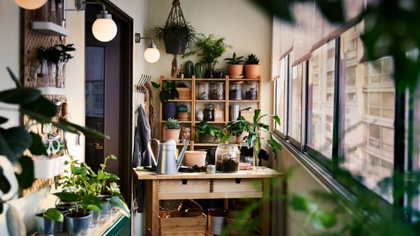 A birch kitchen island, a bamboo shelving unit, a cabinet and wall storage with plants and gardening items all around.