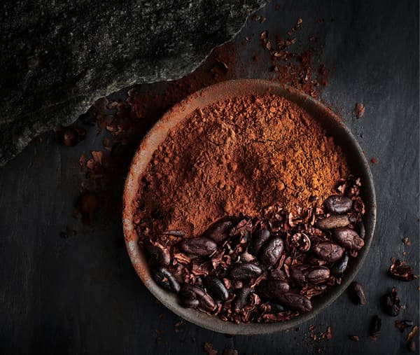 A bowl of cocoa powder and cocoa beans.