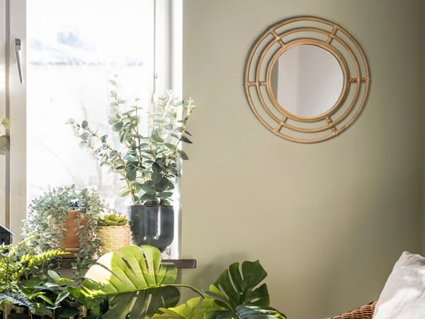 A bright room with a window, several potted plants and a round decorative mirror on the wall.