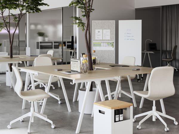 A brightly lit office space featuring birch tables with a small tree in the middle and white chairs 