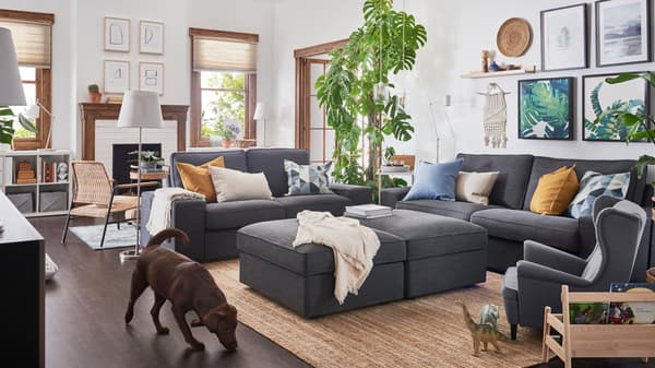 A brown dog walks past two, KIVIK two-seat sofas and two, KIVIK footstools, all anthracite color, in a living room.