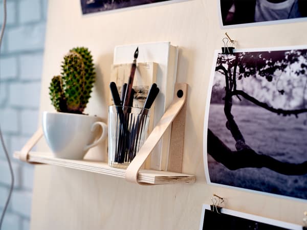  A cactus potted in a small mug sits on the shelf of an inspiration board made of plywood.