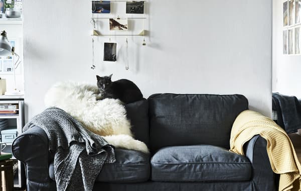 A cat sitting on the back of a grey sofa.