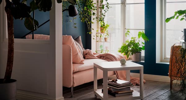 A chaise longue next to tall windows illuminated by sunlight. Cushions, bedspread and reading light. Plants on the windowsill, hanging, and on wall shelves.