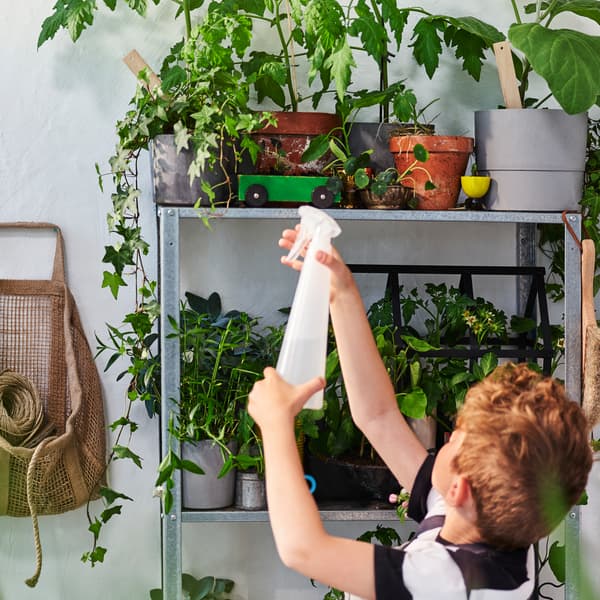 A child holds a water bottle poised to spray green plants sitting on a tiered metal shelf.