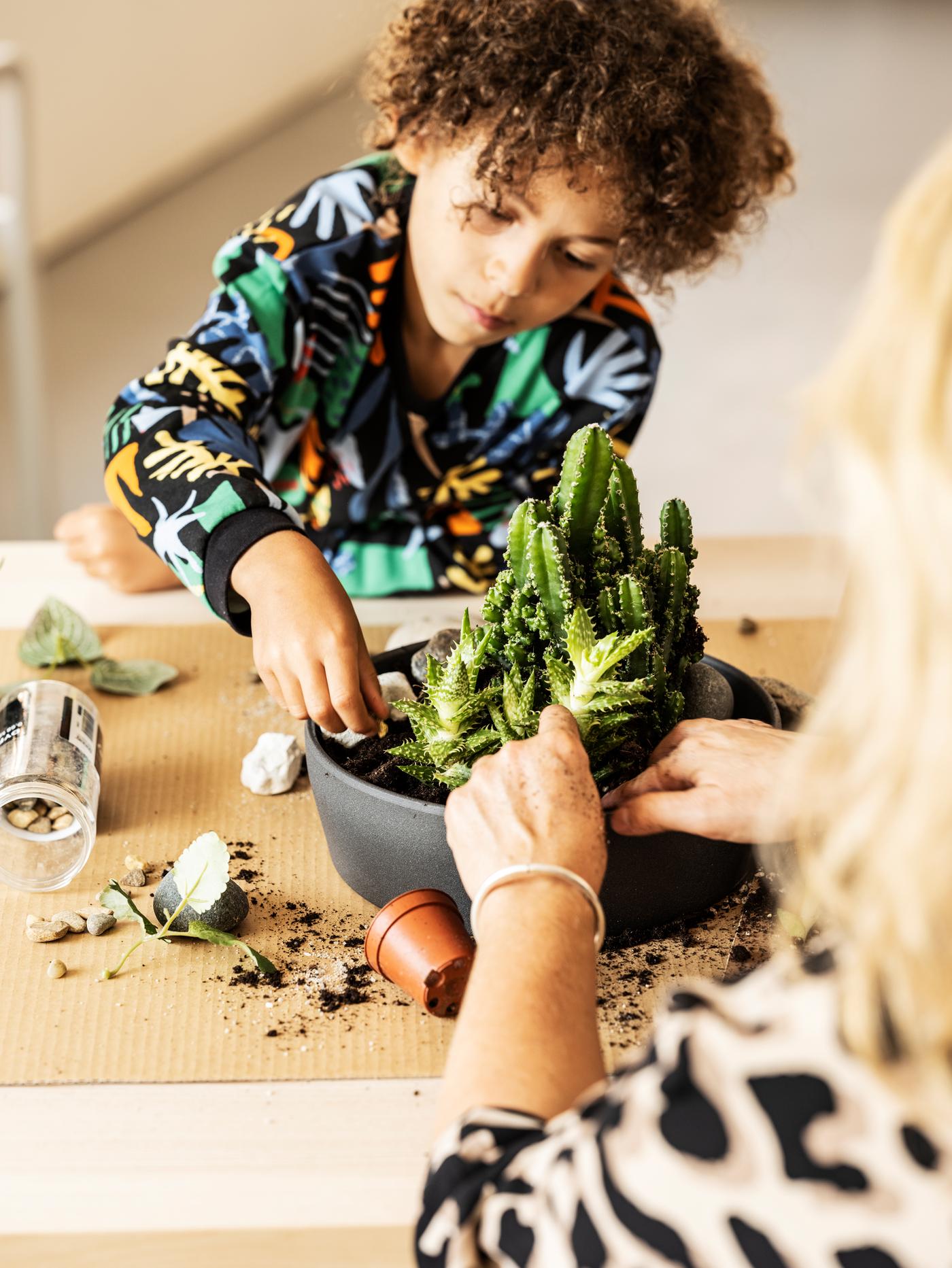 A child, with a colourful sweatshirt, and a parent are potting with soil, green plants and a PERSILLADE plant pot on a table indoors.