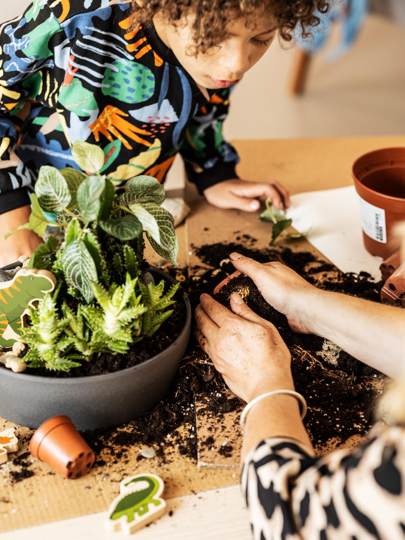 A child, with a colourful sweatshirt, and a parent are putting soil on a table indoors with green plants and a plant pot.