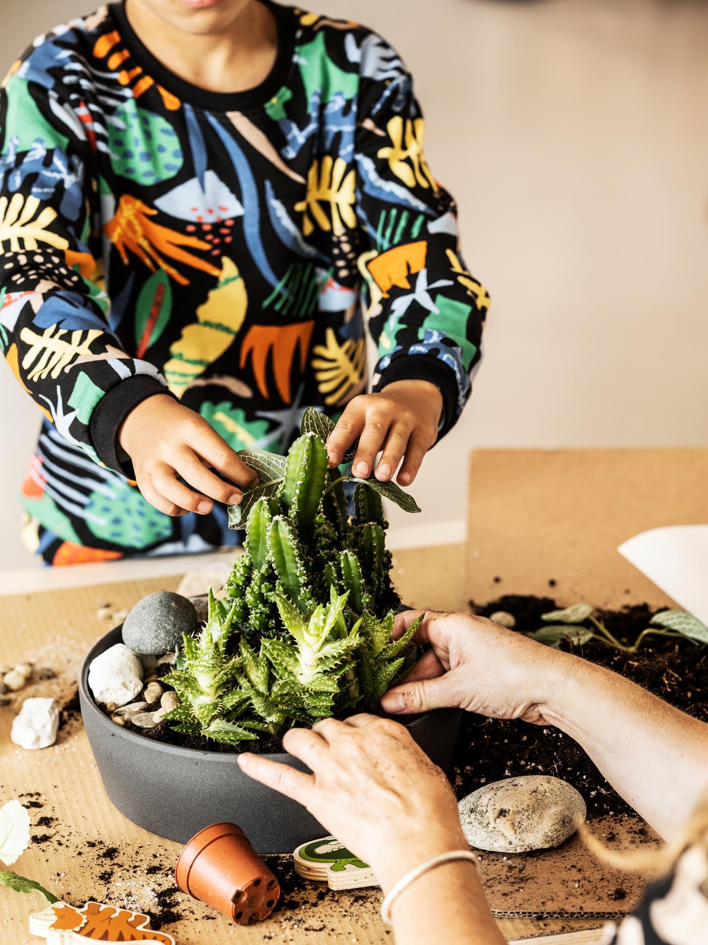 A child, with a colourful sweatshirt, is placing a green plant into a plant pot with soil on a table indoors.