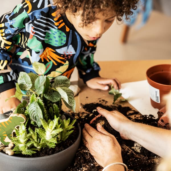 A child, with a colourful sweatshirt, is potting with soil, green plants and a PERSILLADE plant pot on a table indoors.