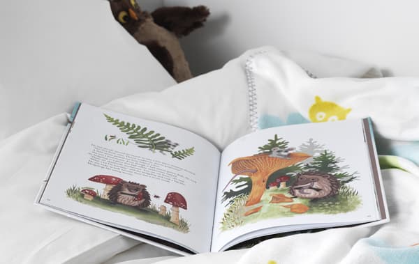 A children’s story book open on a bed.