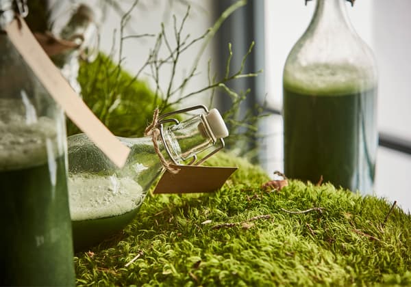 A close-up image of a bottle of green juice laying on a bed of moss.