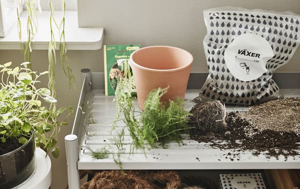 A close-up image of a  small metal shelf that serves as a planting station.