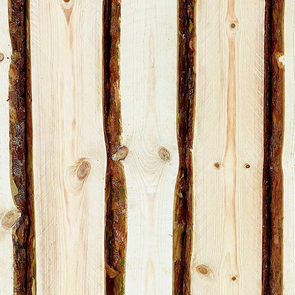 a close up image of pine