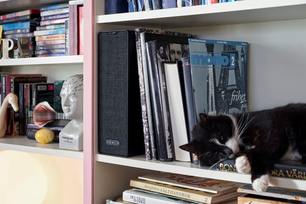 A close up image of shelves full of books and records with a SYMFONISK speaker and cat sitting on one self.
