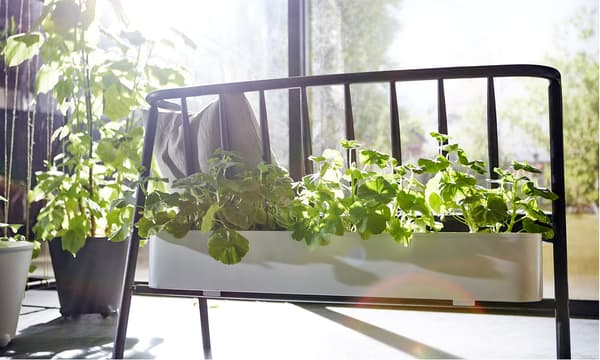 A close up of a bench with an attached planter on the back where plants are growing.