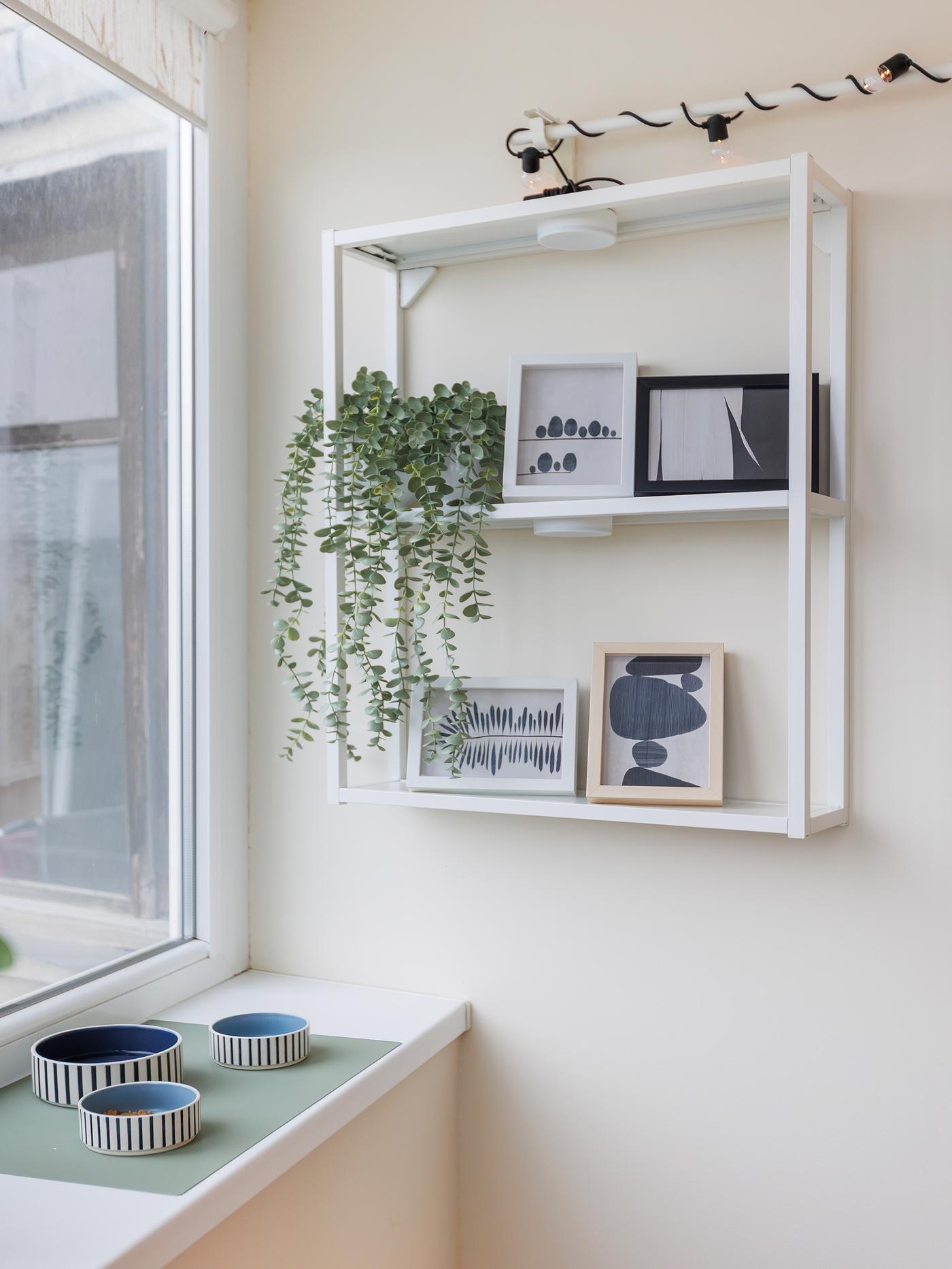 A close-up of a minimalist shelf with black-and-white framed photographs and two hanging plants in small white pots.