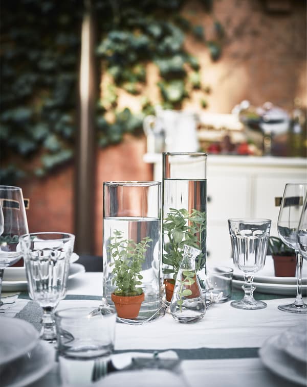 A close-up of centerpieces made of small water plants in glass vases filled with water.