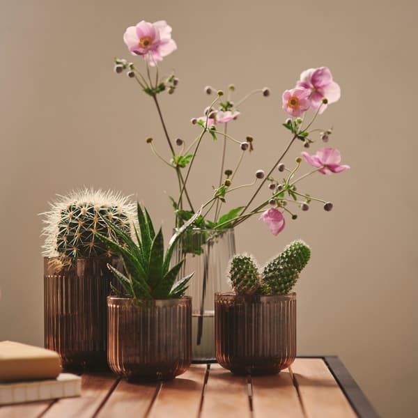 A close-up of light brown GRADVIS plant pots with cactuses and flowers on a wooden table in a bright outdoor space.