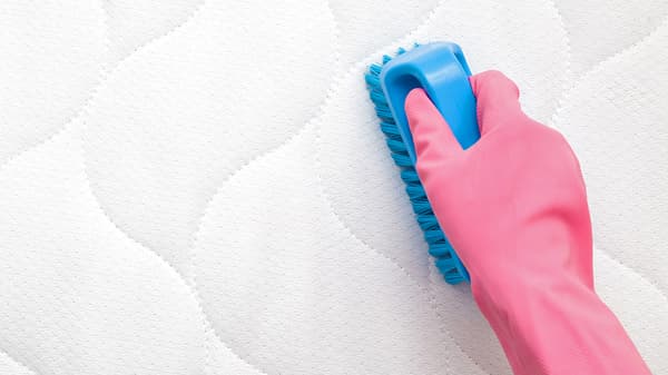 a close up shot of a person's scrubbing a mattress with a brush