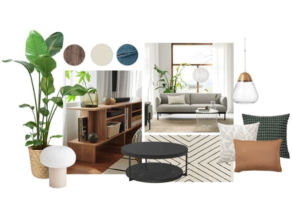 A collage of various products including a sofa, cushions, lighting, plants etc..