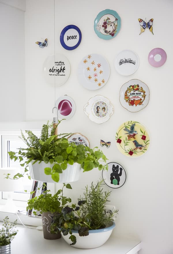 A collection of colourful plates and plants on a wall.