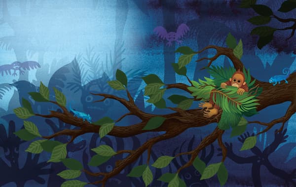 A colourful illustration of a baby orangutan hiding in a tree in the dark.