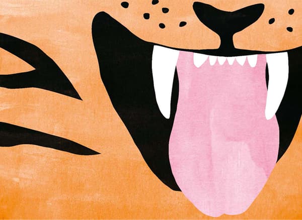 A colourful illustration of a tiger’s mouth.