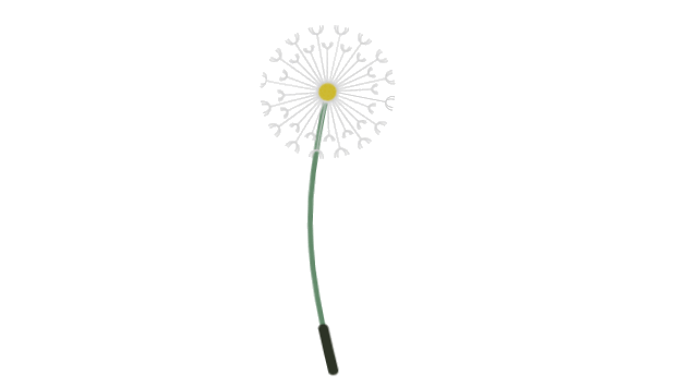 A dandelion blowing in the wind.