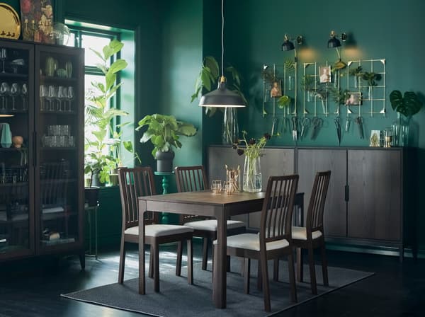 A dark brown EKEDALEN extendable table and chairs in a dining room setting with green walls and an abundance of plants.